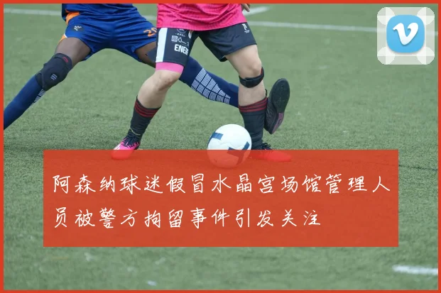 阿森纳球迷假冒水晶宫场馆管理人员被警方拘留事件引发关注
