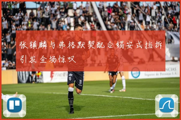 张镇麟与弗格默契配合锡安式挡拆引发全场惊叹